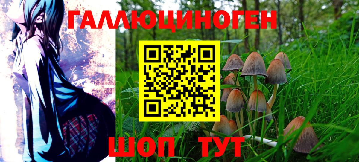 Гай  Галлюциногенные грибы мухоморы  Вход с VPN 