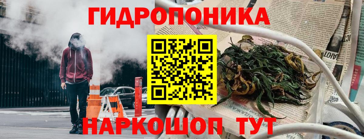 Бошки Шишки Bruce Banner Гай
